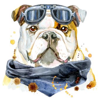 Cute Dog. Dog T-shirt graphics. watercolor Dog illustration with biker sunglasses