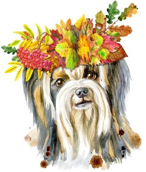 Dog, yorkie with wreath of autumn leaves on white background. Hand drawn sweet pet illustration.