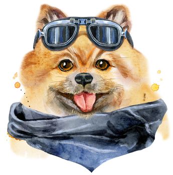 Cute Dog with biker sunglasses. Dog T-shirt graphics. watercolor pomeranian spitz illustration