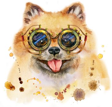 Cute Dog. Dog T-shirt graphics. watercolor pomeranian spitz illustration