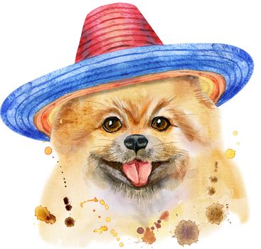 Cute Dog. Dog T-shirt graphics. watercolor pomeranian spitz illustration
