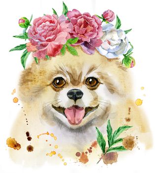 Cute Dog. Dog T-shirt graphics. watercolor pomeranian spitz in a wreath of peonies illustration