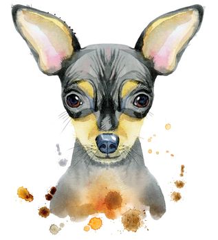 Cute Dog. Dog T-shirt graphics. watercolor toy terrier illustration