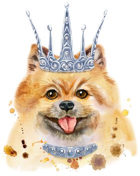 Cute Dog with silver crown. Dog T-shirt graphics. watercolor pomeranian spitz illustration