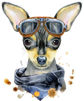 Cute Dog with biker sunglasses. Dog T-shirt graphics. watercolor toy terrier illustration