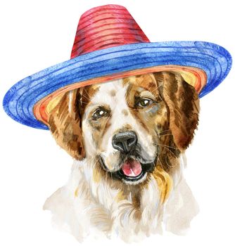Cute Dog in sombrero. Dog T-shirt graphics. Watercolor tricolor dog illustration