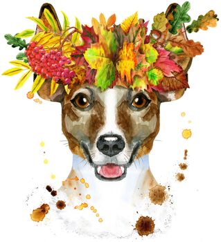 Cute Dog in a wreath of autumn leaves. Dog T-shirt graphics. watercolor jack russell terrier illustration