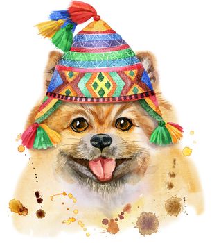 Cute Dog in peruvian hat. Dog T-shirt graphics. watercolor pomeranian spitz illustration