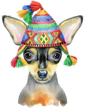 Cute Dog in chullo hat. Dog T-shirt graphics. watercolor toy terrier illustration
