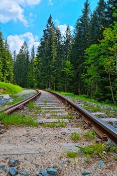 The picturesque railway passes through a green forest