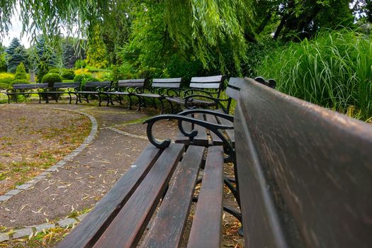 A large long empty park bench. Empty because of the coronavirus