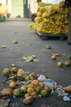 salvador, bahia, brazil - september 14, 2021: oranges are seen thrown in the trash at a fair in the city of Salvador, featuring food waste.