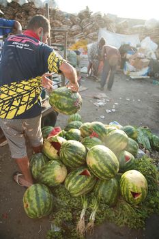 salvador, bahia, brazil - september 14, 2021: watermelons are seen thrown in the trash at a fair in the city of Salvador, featuring food waste.