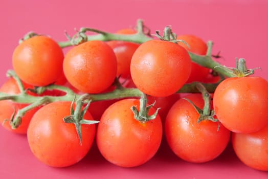 red color cherry tomato on red background .