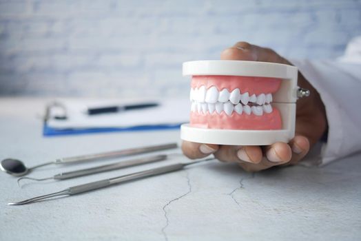 doctor hand holding plastic dental teeth model on table .