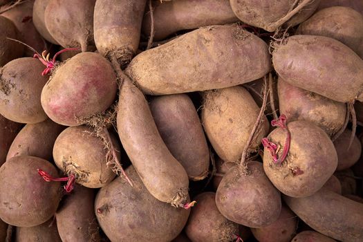 Fresh beets as background. Beets on the market.