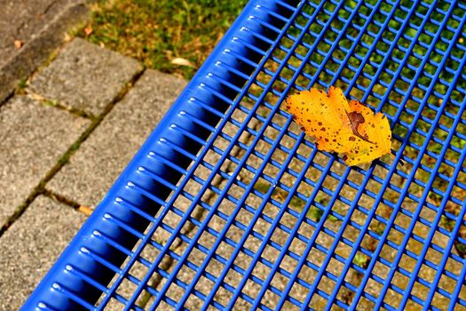 autumnal colored leaf on a blue grid of a seat