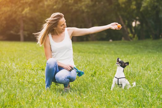 Beautiful woman enjoys playing with her cute dog Jack Russell Terrier in the nature.Image is intentionally toned