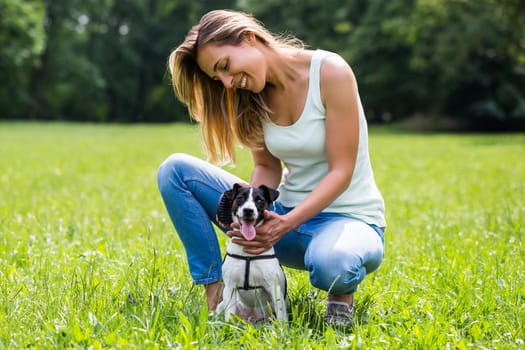 Beautiful woman combing her dog Jack Russell Terrier in the nature.