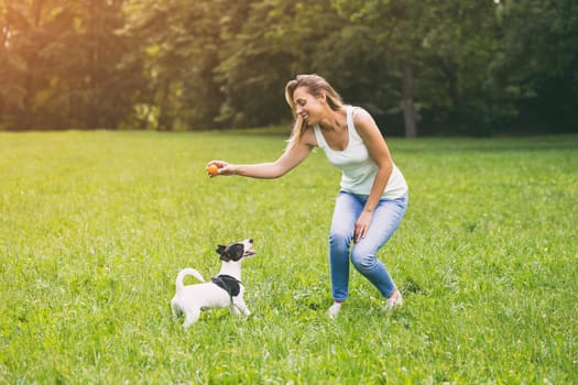 Beautiful woman enjoys playing with her cute dog Jack Russell Terrier in the nature.Image is intentionally toned.