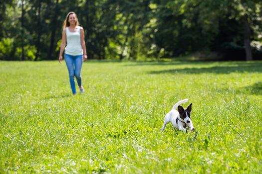Woman and her dog Jack Russell Terrier playing in the nature .