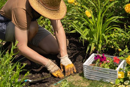 A young boy in a straw hat and hands in gloves is engaged in gardening work, processes black soil before planting flower seedlings, plant seeds. A man professional gardener cultivates plants.