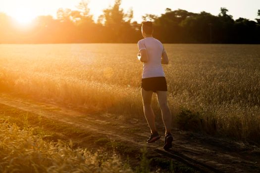 An athletic man jogging along the trails in a wheat field outside the city at sunset, a runner training in a picturesque outdoor area.