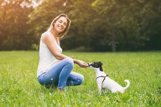 Beautiful woman enjoys feeding her cute dog Jack Russell Terrier in the nature.