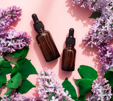 Cosmetic oil and lilac on a pink background. A container for cosmetic oil. Cosmetology. Skin care . Lilac branch