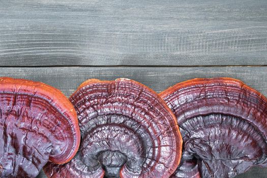 Close up of Ling zhi mushroom, Ganoderma lucidum mushroom on wooden floor