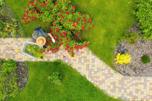 A young man with hands in gloves is carrying a metal garden cart through his beautiful green blooming garden. A professional gardener is carrying a wheelbarrow on a garden path