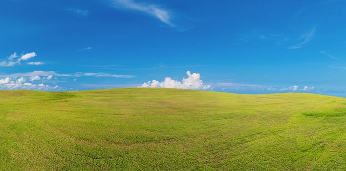 Panoramic green grass on golf field ,Panorama green grass field landscape