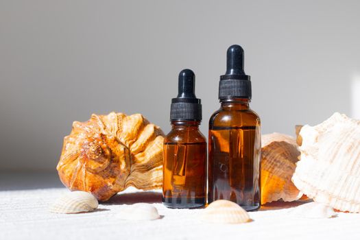 Cosmetic oil and shells . A container for cosmetic oil. Cosmetology. Skin care. Seashell. Article about the choice of facial oil