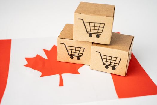 Box with shopping cart logo and Canada flag, Import Export Shopping online or eCommerce finance delivery service store product shipping, trade, supplier concept.