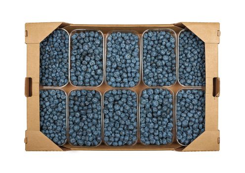 Close up one brown carton box with several plastic containers of fresh ripe blueberry berries, isolated on white background, elevated top view, directly above