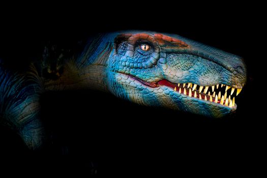 The head of dinosaur in the dark background. High quality photo