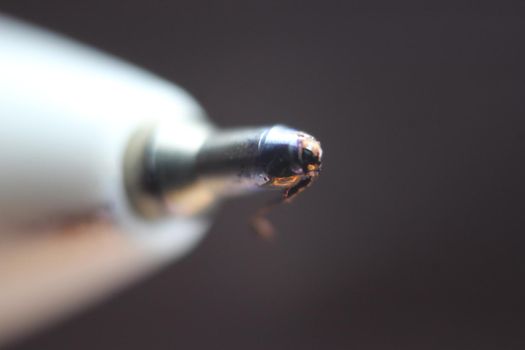 Macro photo of ballpoint pen tip with dark grey background. Extreme macro image of metal ballpoint pen on grey background.