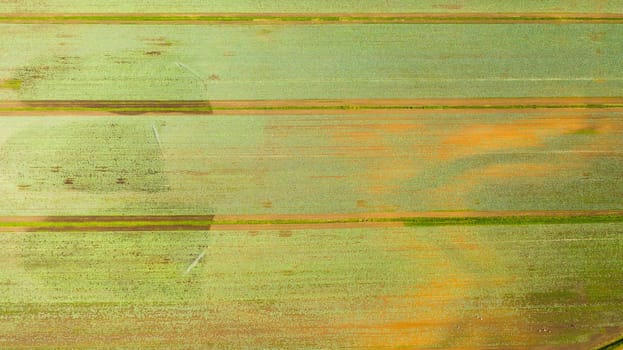 Farmlands with crops and agricultural machinery from above. Countryside with farmland.