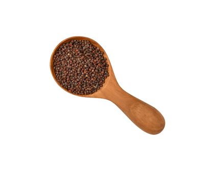 Close up one wooden scoop spoon full of wholegrain black French mustard seeds, heap spilled around, isolated on white background, elevated top view, directly above