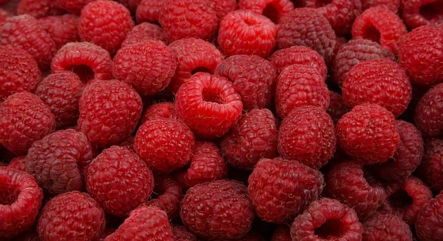 Close up background of fresh red ripe raspberry berries, elevated high angle view