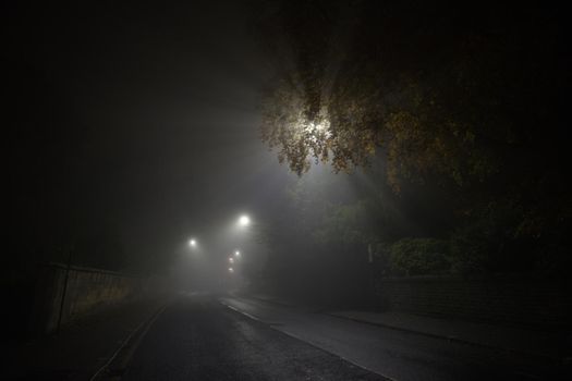 Rays of light from street lamps shine through heavy fog and branches. Deserted and empty main road, glossop road, sheffield, curves into the distance
