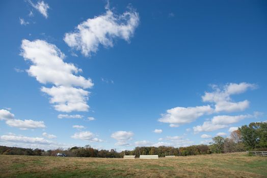 Wide landscape image of meadow and large blue sky with pretty clouds.