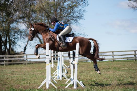 Equestrian competition photos including hunter jumper riders going over jumps