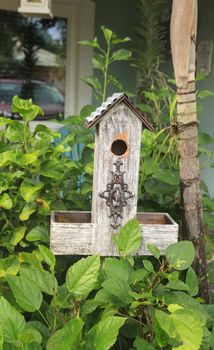 Rustic French birdhouse with an ornamental key in the front sits among hibiscus leave in a tropical garden in Florida.