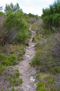 Sandy gravel footpath into the distance on a wilderness hiking trail, Mossel Bay, South Africa