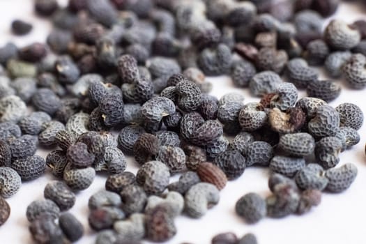 Gray dry poppy seeds close up, macro photo