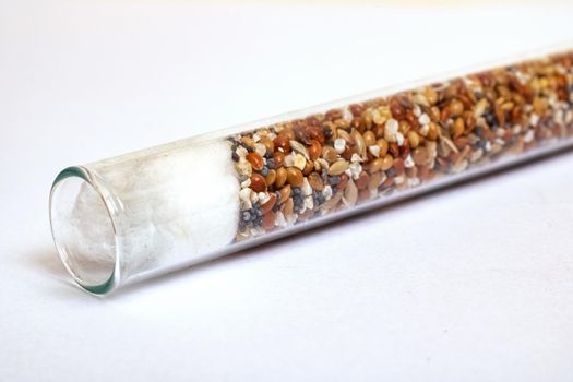 Different seeds in a test tube on a white background close up