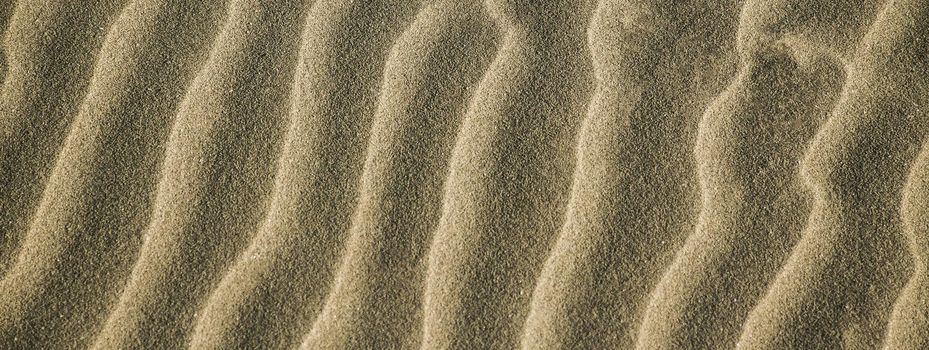 Sand texture detail, banner image with copy space