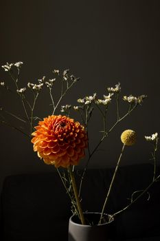 Beautiful orange coloured sunny Dahlia flower , yellow craspedia and white dried flowers, modern bouquet flowers dark style still life side view