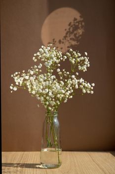 Minimalistic still life. Glass vase with white dried flowers on brown background. Stylish minimalistic still life. Atmospheric photo with a flower shadow vertical shot